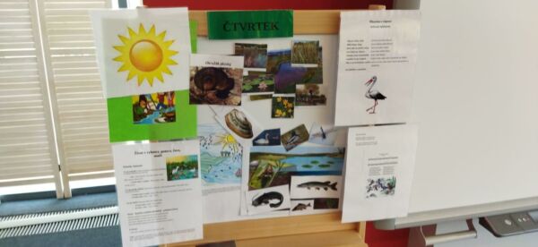 WhatsApp-Image-2022-05-01-at-14.35.47-1