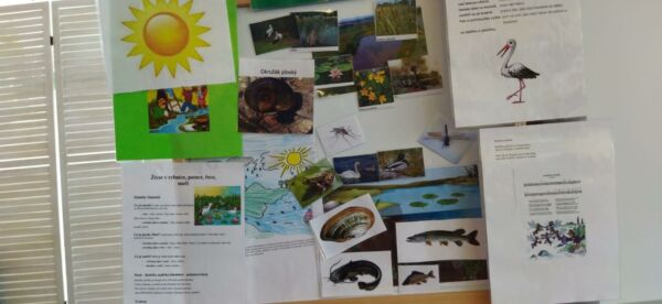 WhatsApp-Image-2022-05-01-at-14.35.47