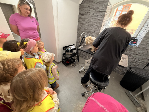 fotografie-10