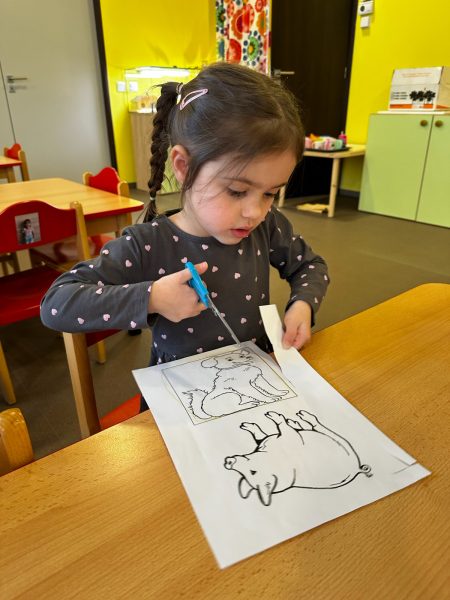 fotografie-5