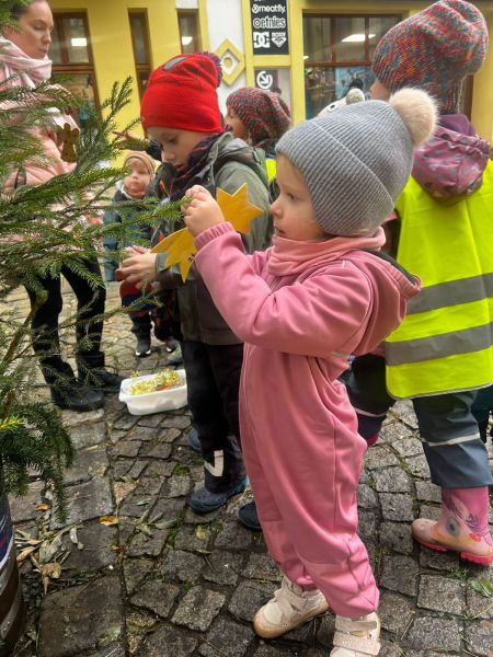 WhatsApp-Image-2024-11-28-at-11.09.40-1