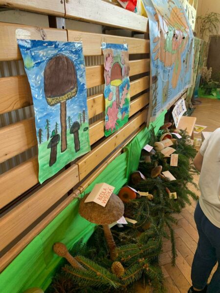 279233500 5148839115177202 7608637822675182779 n