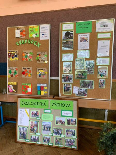 279445973 5069563293150888 7830548951586126279 n