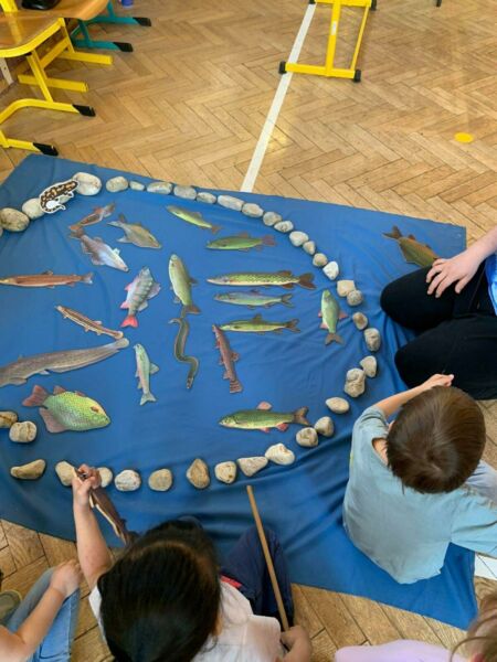 279571781 3159501131004990 3653927522646239806 n