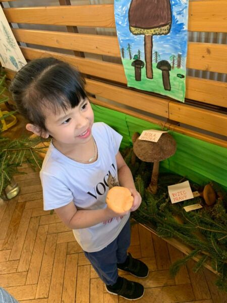 280120226 701729124482557 4777459437271702404 n