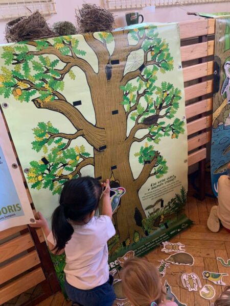 280226766 3208066779406427 8217719667477384985 n