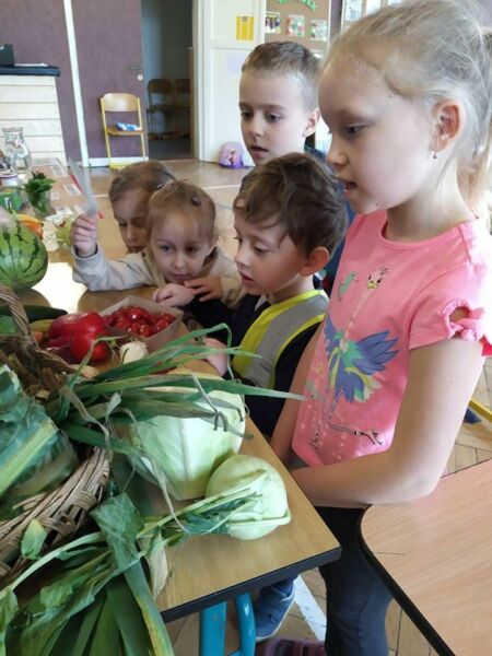 280420386 969312790404020 4237480177702763935 n