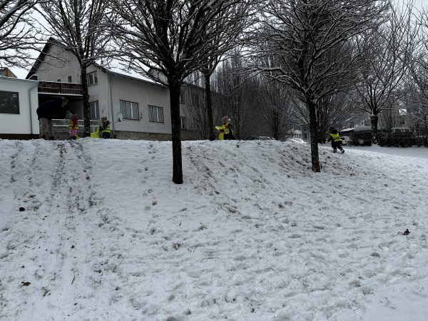 foto-8