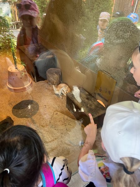 fotografie-12